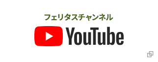 フェリタスチャンネル Youtube